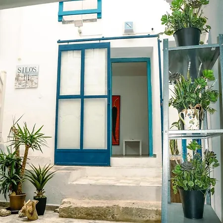 Silos11- Puerta Jerez Tarifa